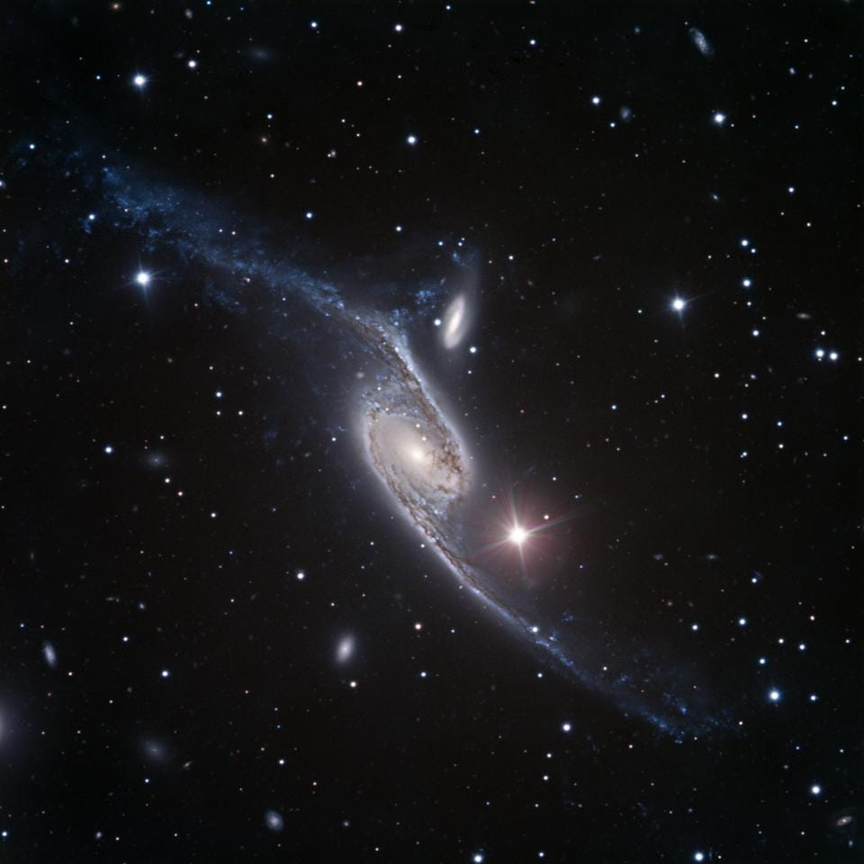 NGC 262 هي مجرة إهليلجية ضخمة تقع على بعد حوالي 200 مليون سنة ضوئية في كوكبة العنقاء. تمتد عبر حوالي 1 مليون سنة ضوئية، وتحتوي على حوالي 1.7 تريليون نجم. تُعتبر هذه المجرة واحدة من أكبر المجرات في المجموعة المحلية، وتتميز بمعدلات تكوين نجوم منخفضة.