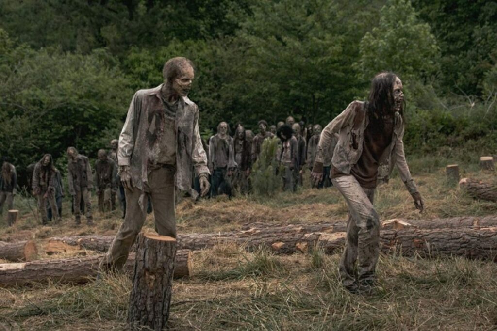 the walking dead